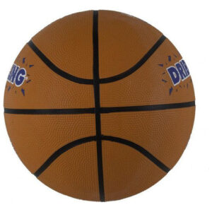 Bal Basquet Reebok R.50.07 Zig Generation #6